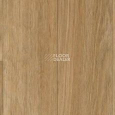 Линолеум Taralay Initial Comfort 0636 Esterel Blond фото 1 | FLOORDEALER